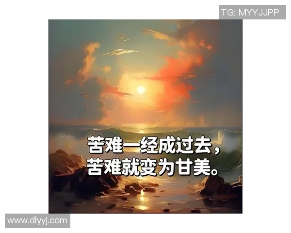 少年苏白追梦足球场成就明星之路的励志故事